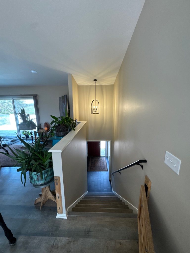 Modern staircase with pendant light and potted plants